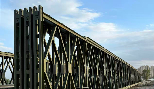 Bailey Bridge Project